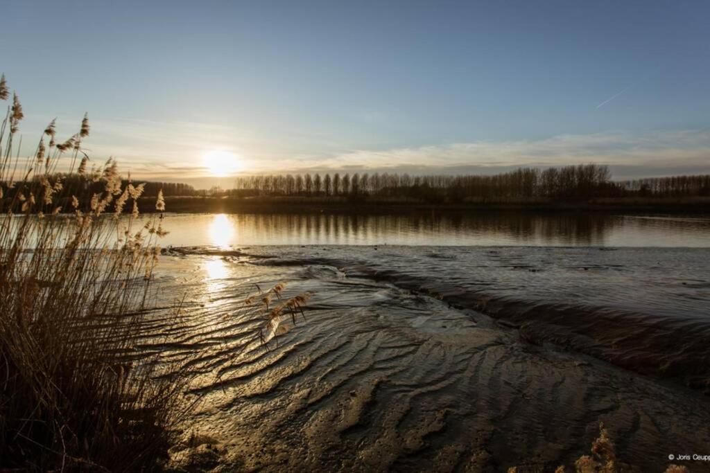 Amand'Eau - Zwemvijver, Zonneterras, Grote Tuin Sint-Amands Exteriér fotografie