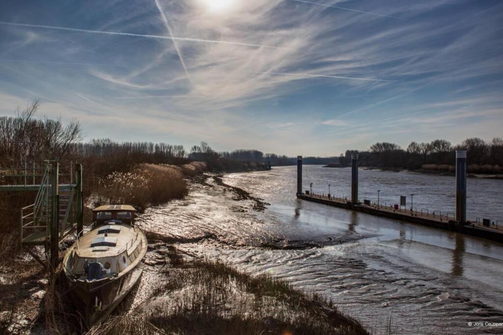 Amand'Eau - Zwemvijver, Zonneterras, Grote Tuin Sint-Amands Exteriér fotografie
